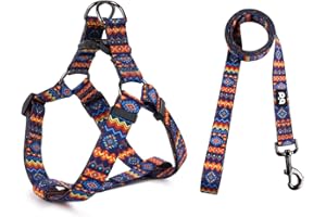 QQPETS Dog Harness Leash Set Adjustable Heavy Duty No Pull Halter Harnesses for Small Medium Large Breed Dogs Back Clip Anti-Twist Perfect for Walking