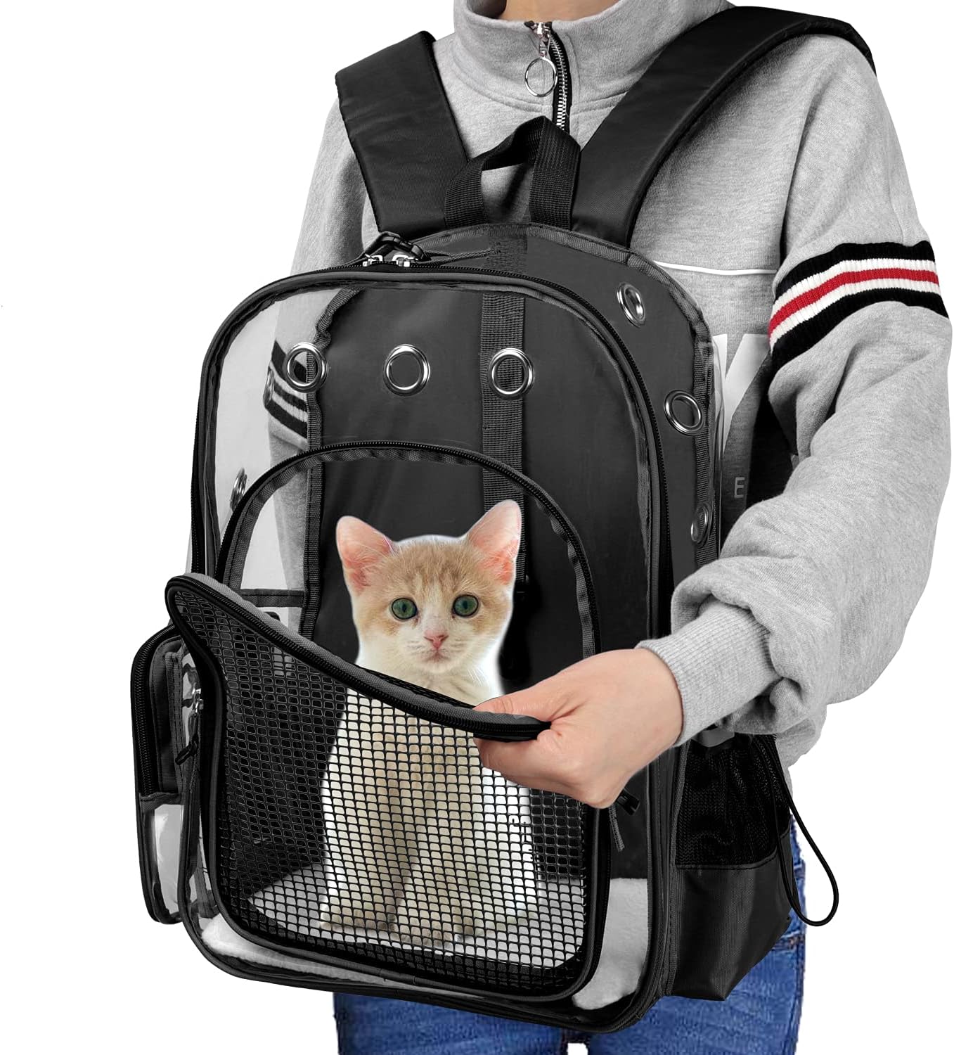 cat rucksack