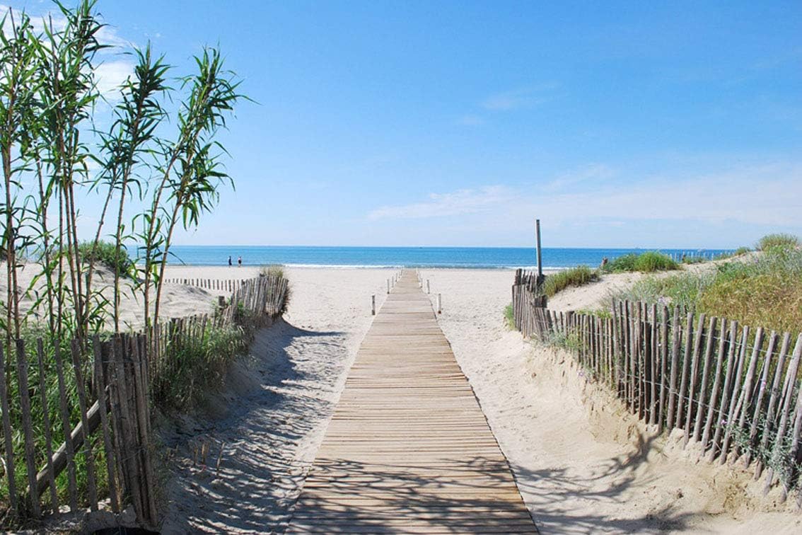 ING Wall Art Print on Canvas(32x21 inches)- Beach Beach Path Sea Montpellier Carnon 2