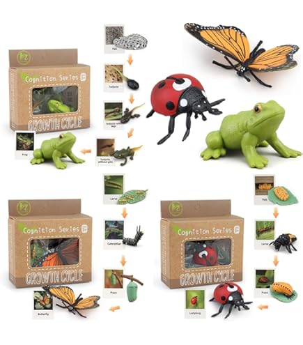 Safari Ltd Life Cycle Of A Chicken Figures - Educational Toy For Kids 5+ Years