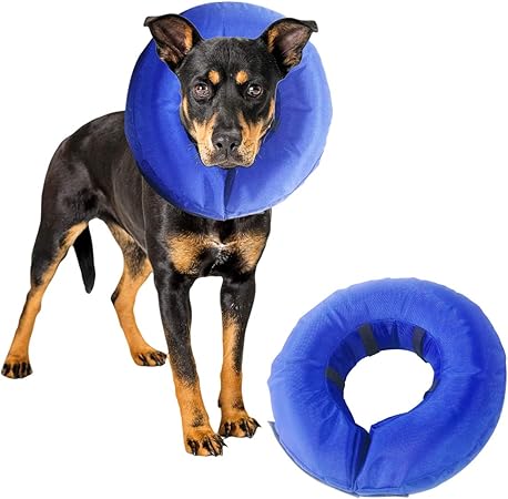donut dog collar