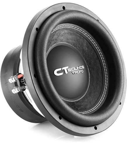 Sundown 12 Inch Subwoofer Sundown Audio Ev4 10 Inch DVC Dual Ohm