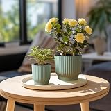 T4U Mini Self Watering Plant Pots Indoor 6 Pack 10cm Green Plastic Pots view 6