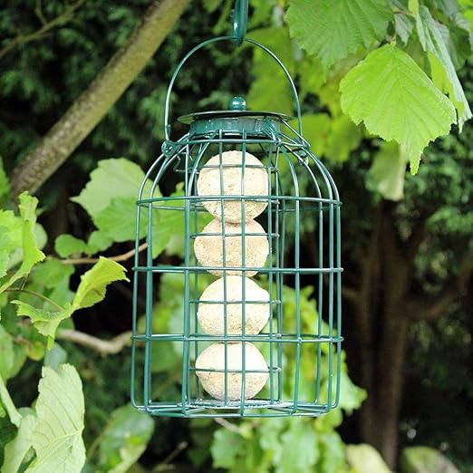 Vfm Vfmonline Bird Feeders With Squirrel Guard Fat Ball Nut Or