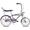Tracer Classic Beach Cruiser Lowrider Bike, 20 Inch Wheels, 1.75 Tire, City Bike, Lowrider Springer Fork Retro Banana Seat,High Rise Handlebar - Multi Color