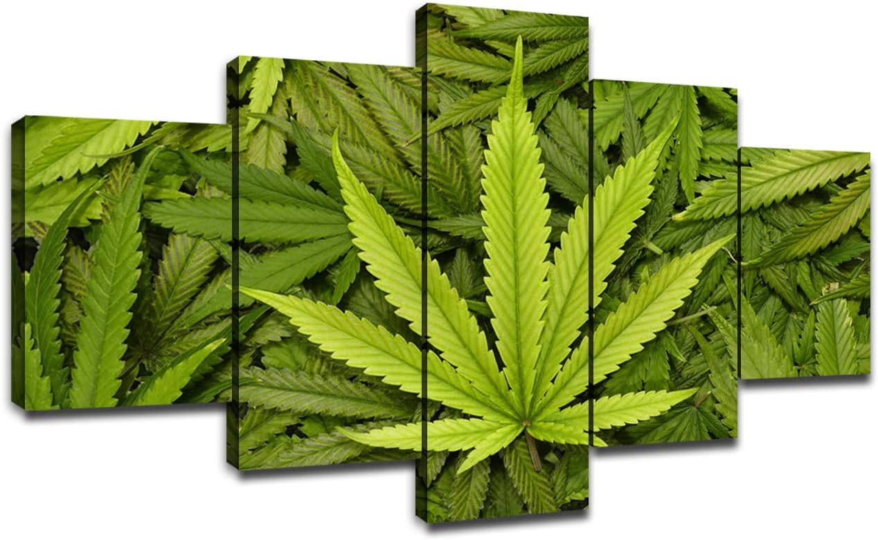 Best Marijuana Home Decor