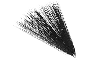 ifundom 250pcs Artificial Cat Whiskers for Crafts Realistic Animal Whiskers DIY Needle Felting Supplies for