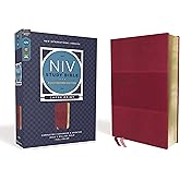 NIV Study Bible, Fully Revised Edition (Study Deeply. Believe Wholeheartedly.), Large Print, Leathersoft, Burgundy, Red Letter, Comfort Print