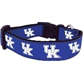 NCAA Kentucky Wildcats Dog Collar (Team Color, Medium)