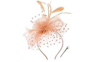 Durzasvo Women's Fascinators Tea Party Wedding Derby Mesh Flower Pearl Feather Fascinator Hat with Headband and Clip