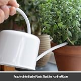 CKB LTD Small 1.1L Indoor Watering Can Chalk White Galvanised Steel view 4
