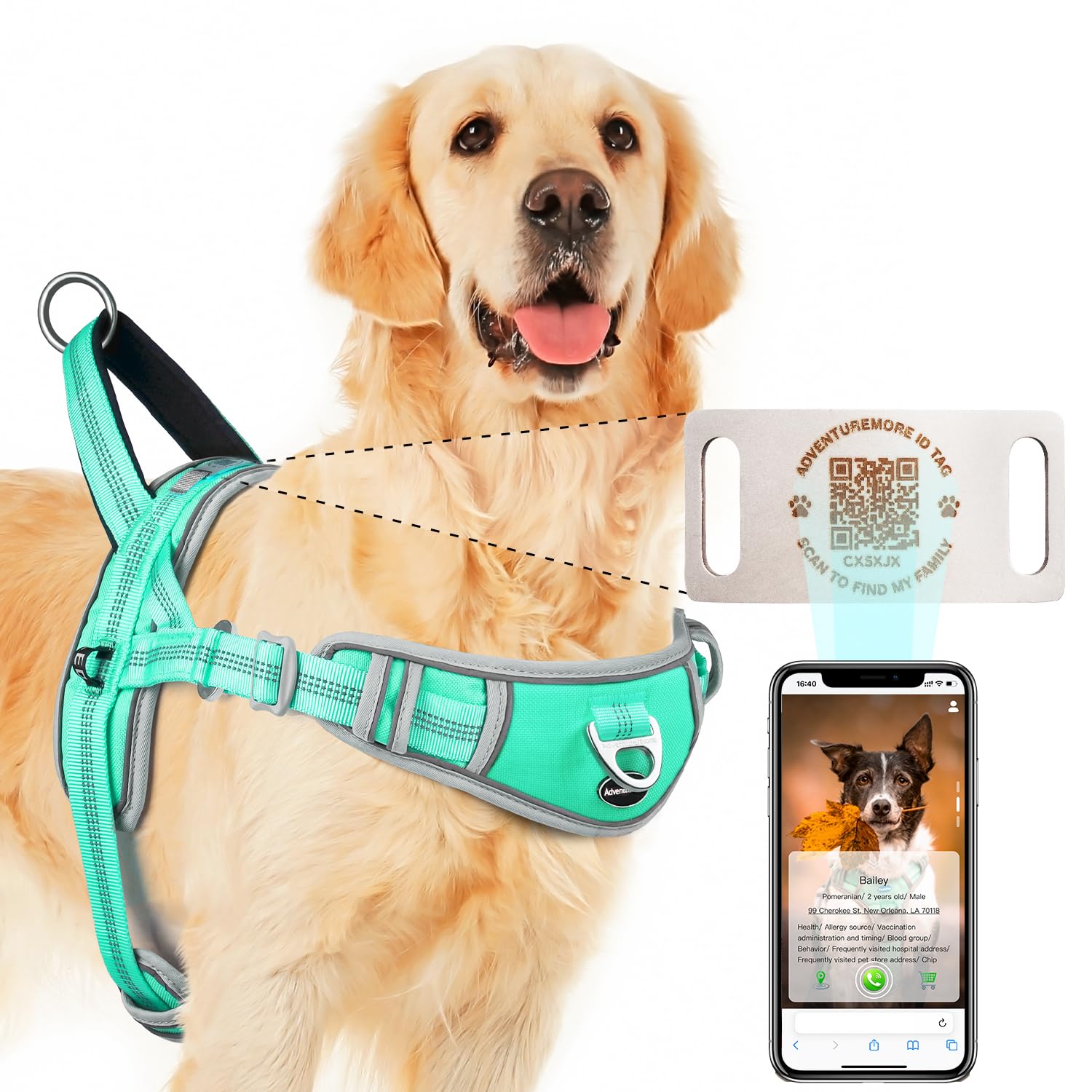 Photo 1 of ADVENTUREMORE Small Dog No Pull Harness with QR Code Dog Tag, Adjustable Reflective Vest, Front Clip Handle for Training Walking - Teal