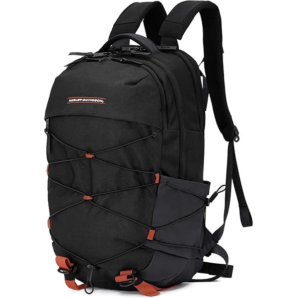 Amazon.com: Harley-Davidson Embroidered B&S Zero Gravity Water