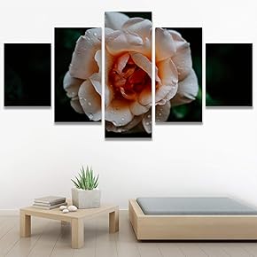 SIGNWIN 5 Panel Canvas Wall Art Flora Snapshot...