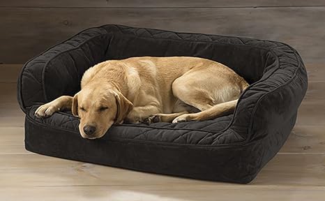 Amazon Com Orvis Memory Foam Couch Dog Bed Large Dogs 60 90 Lbs