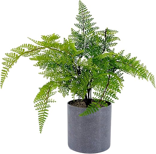 Amazon Color Decor シダ ボストンファーン フェイクグリーン 造花 おしゃれ 人気 インテリア グリーン フェイク人工 観葉植物 モデルルーム 鉢 小型 鉢植 オブジェ ディスプレイ 装飾 フェザーファン タマシダ ネフロレピス インテリア オンライン通販
