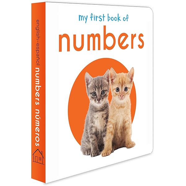 Amazon.com: My Very First Book of Numbers: 9780141382951: Eric