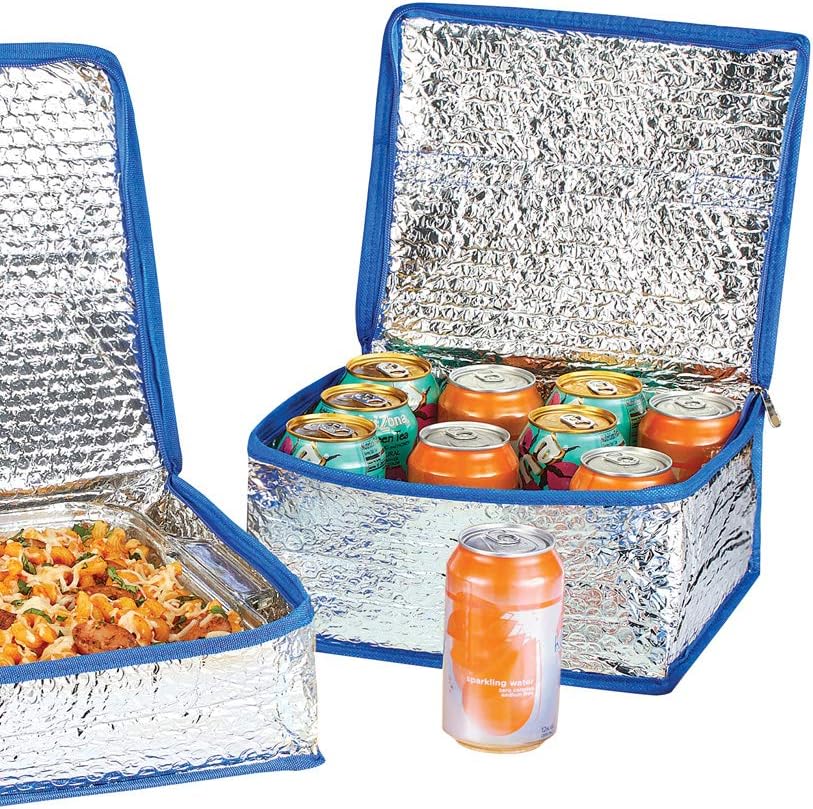 FoilInsulated Food Carriers with Zip Closure Container