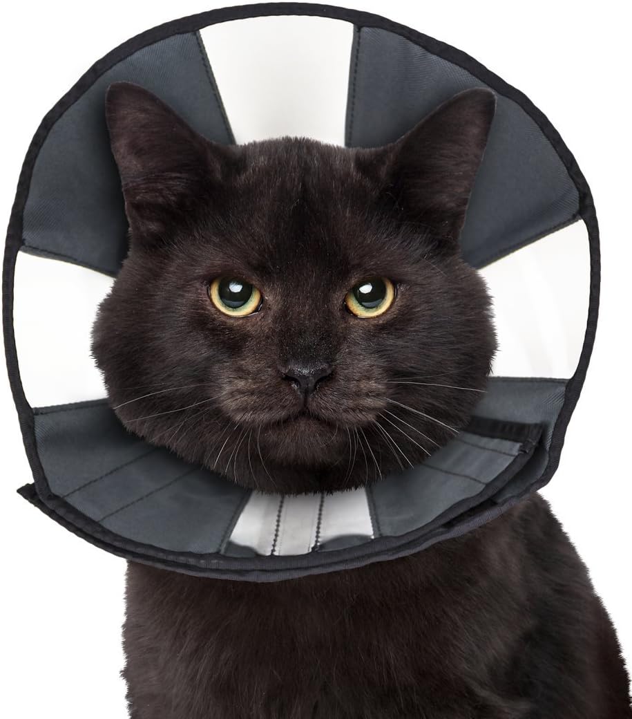 zen cone soft recovery collar
