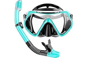 Felidel Snorkeling Gear for Adults, Snorkel Mask Adult Dry Top Snorkel Set with Panoramic View Anti-Fog Scuba Diving Mask for Snorkeling Swimming Travel, Snorkeling Kit Diving Packages