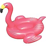 giant flamingo float amazon