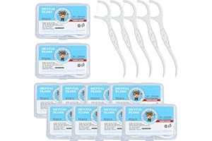 FEIDAMA Dental Flossers for Adults,Floss Picks - Perfect for Tight Teeth, 500 Count Dental Floss Picks, Professional Toothpicks Sticks with Portable Case and Dental Picks (10 Boxes)