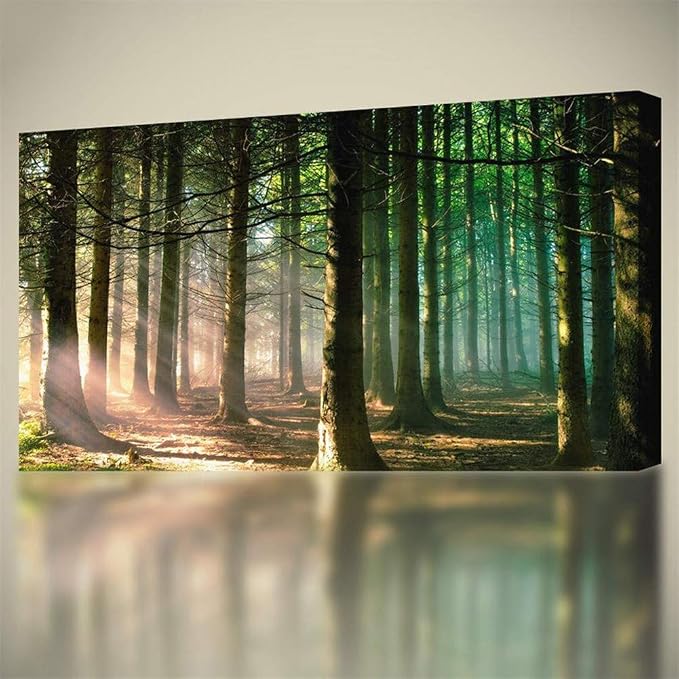 DIY 5D Diamant Painting Flammen-Schmetterling – 50x60 Cm, Mit Runden Diamanten, Leinwand & Zubehör