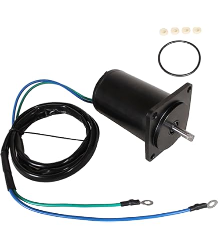 Amazon.com: Sierra 18-6781 Marine Power Tilt and Trim Motor