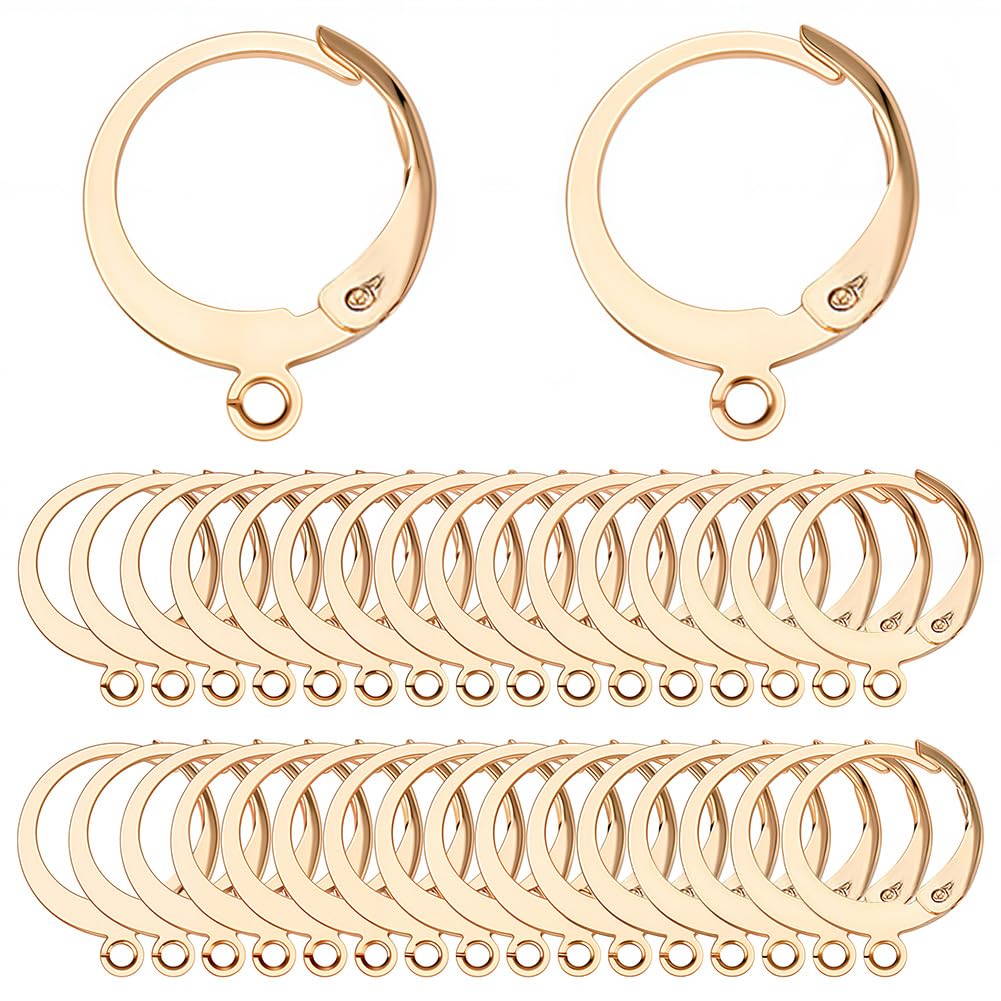 SUNNYCLUE 1 Box 80Pcs Leverback Earring Hooks Real 18K Gold Plated Stainless Steel Huggie Hoop Round Leverbacks Earwires Lever Back Hoops for Jewellery Making Earrings Backs Findings Adult 14.5mm