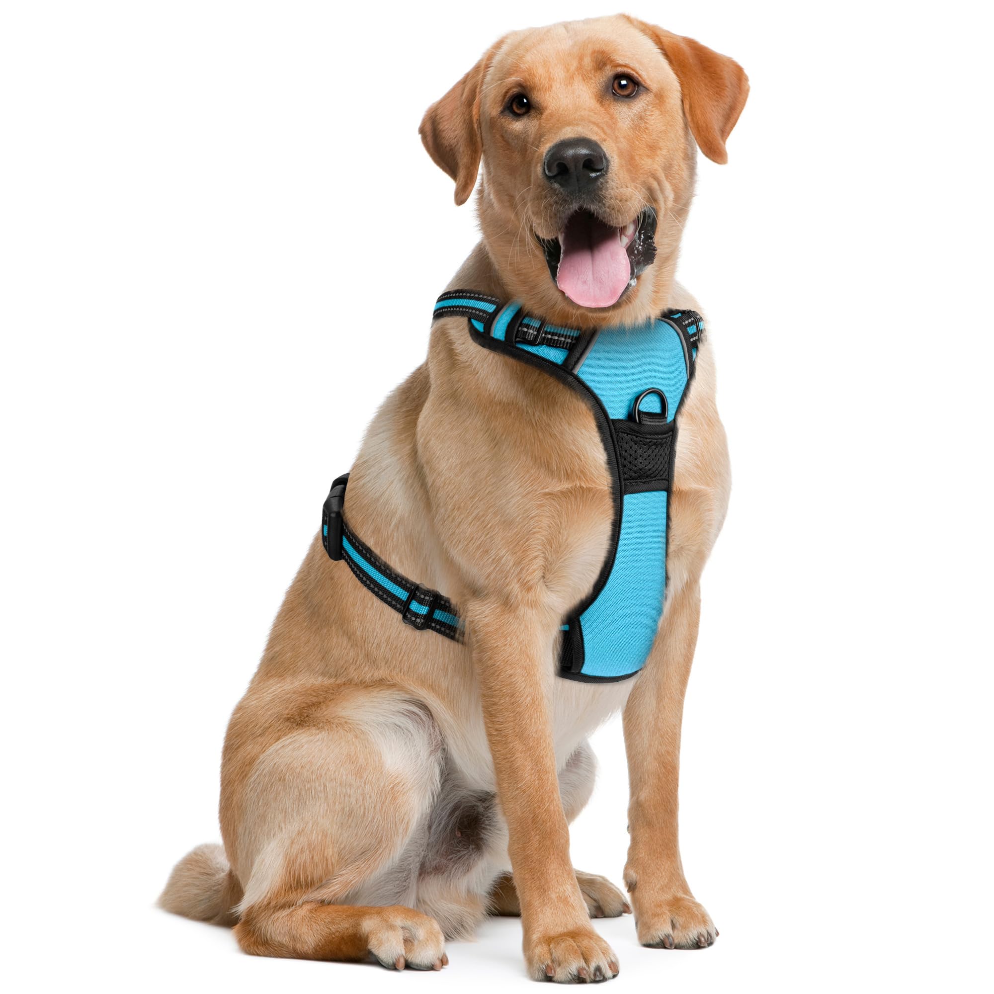 Dog Harness for Large Dogs - Large, Blue - Soft Padded & Adjustable No Pull Design Pet Harness for Running, Hiking & Training - with 2 Leash Clips + Reflective Strips - by EcoEarth