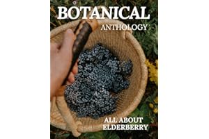 All About Elderberry