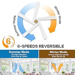 WINGBO 54 Inch DC Ceiling Fan without Lights, 5