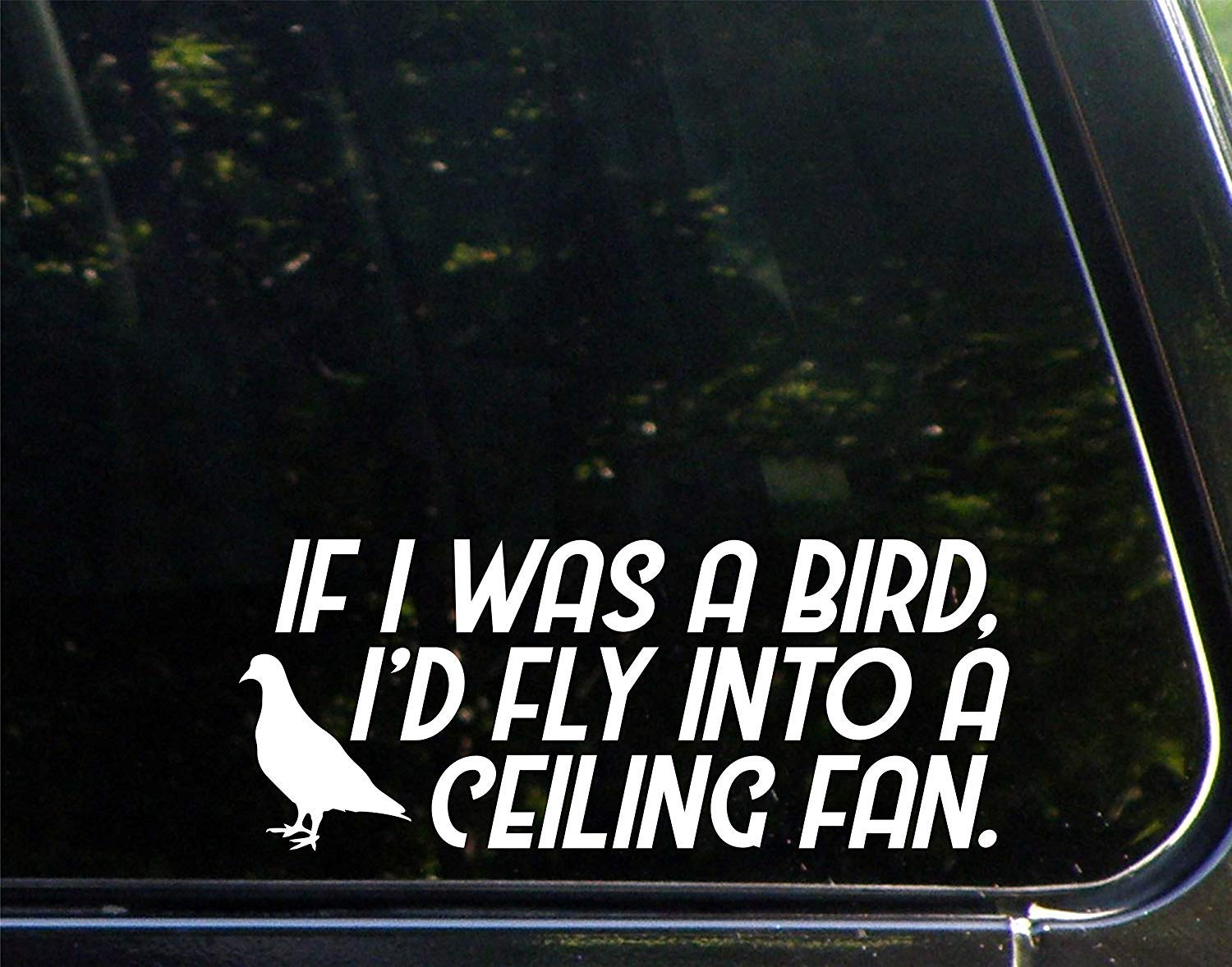 Amazon Com Car Decals Funny If I Was A Bird I D Fly Into A