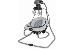 Graco DuetSoothe Swing and Rocker with Removable Swing Seat and 6 Swinging Speeds for Toddler Swing Seat and Swing Chair