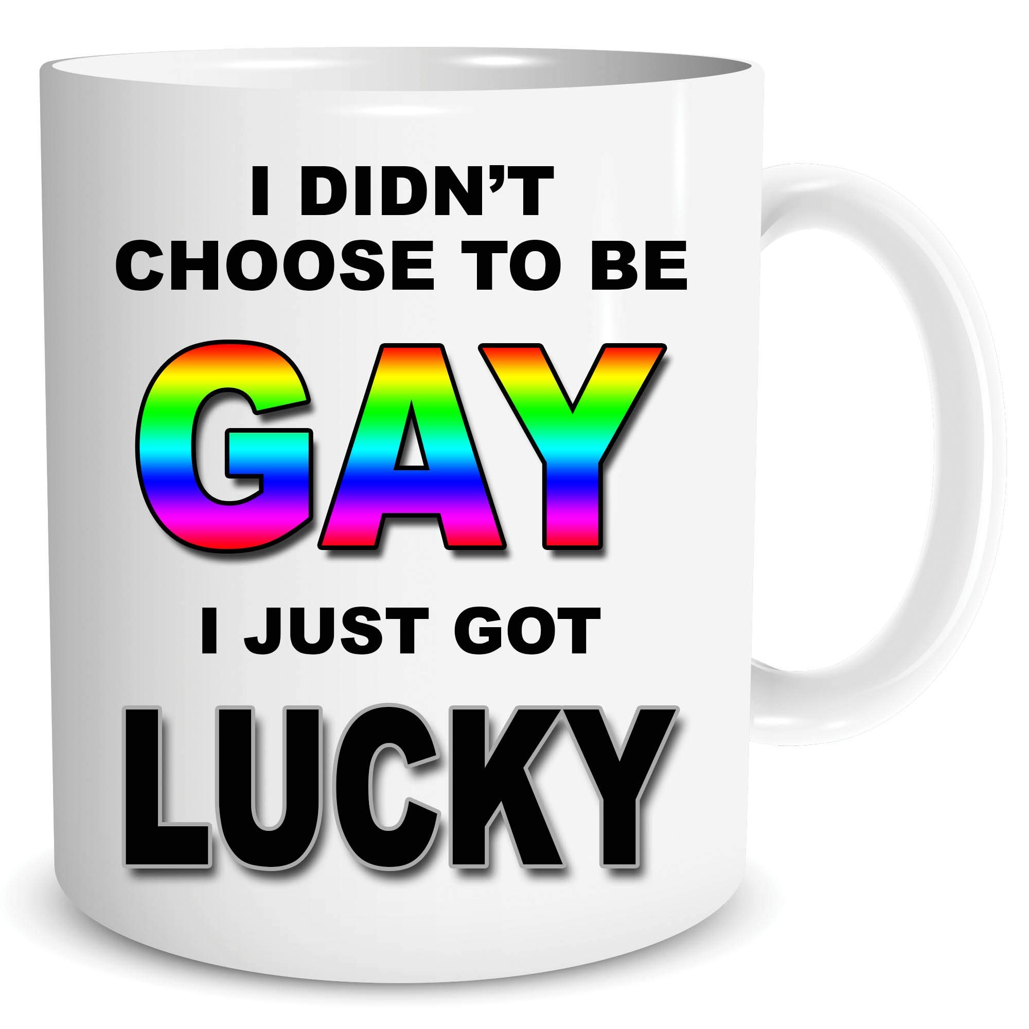 Funny Gay Gift LGBT Gay Pride Didn't Choose to Be Gay Funny Mug Novelty Birthday WSDMUG1659