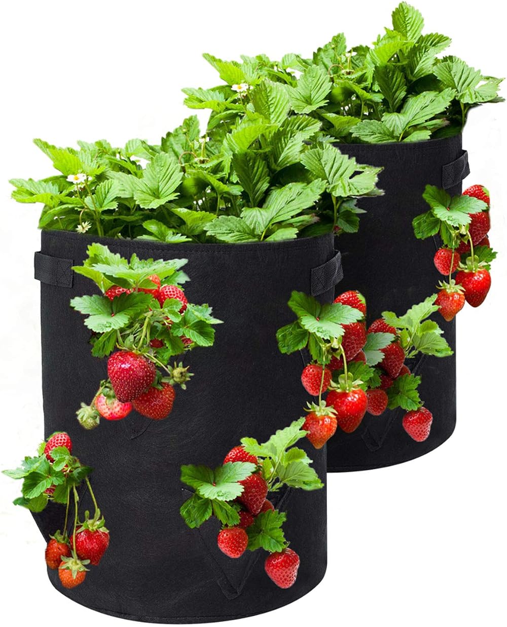 GOTGELIF 2 Pack 10 Gallon Strawberry Grow Bags with 8 Side Pockets