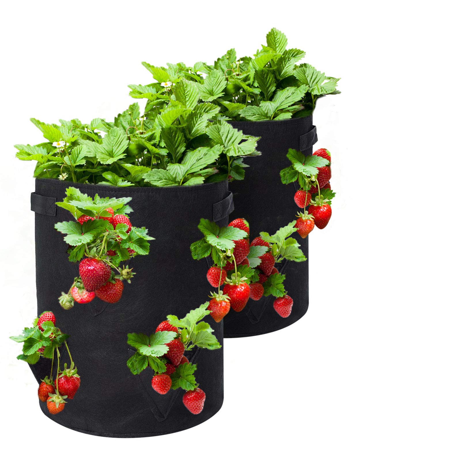 2 Pack 10 Gallon Strawberry Grow Bags, Strawberry Planter with 8 Side Grow Pockets, Breathable Non-woven Fabric Pots Garden Plant Growing Bag for Strawberries Grow, Herbs, Flowers, Vegetable, Fruits