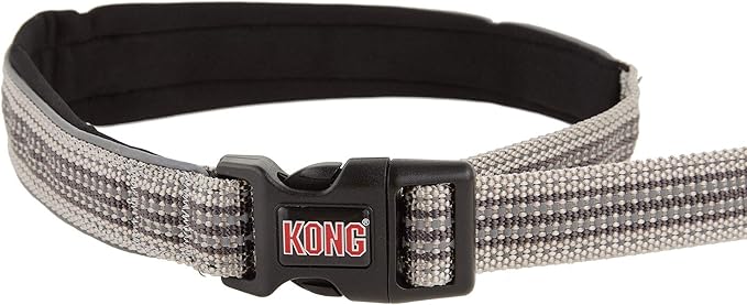 kong reflective traffic dog leash