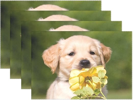 Amazon Com Vnaskl Animal Dog Golden Retriever Yellow Fluffy Small Puppy Adorable Pet Heat Resistant Table Placemats Set Of 4 Stain Resistant Table Mats Washable Eat Mat Home Dinner Decorative Home Kitchen
