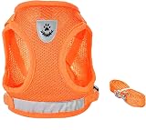 FEimaX Cat Dog Harness and Leash Set No Pull Reflective Mesh Vest view 3