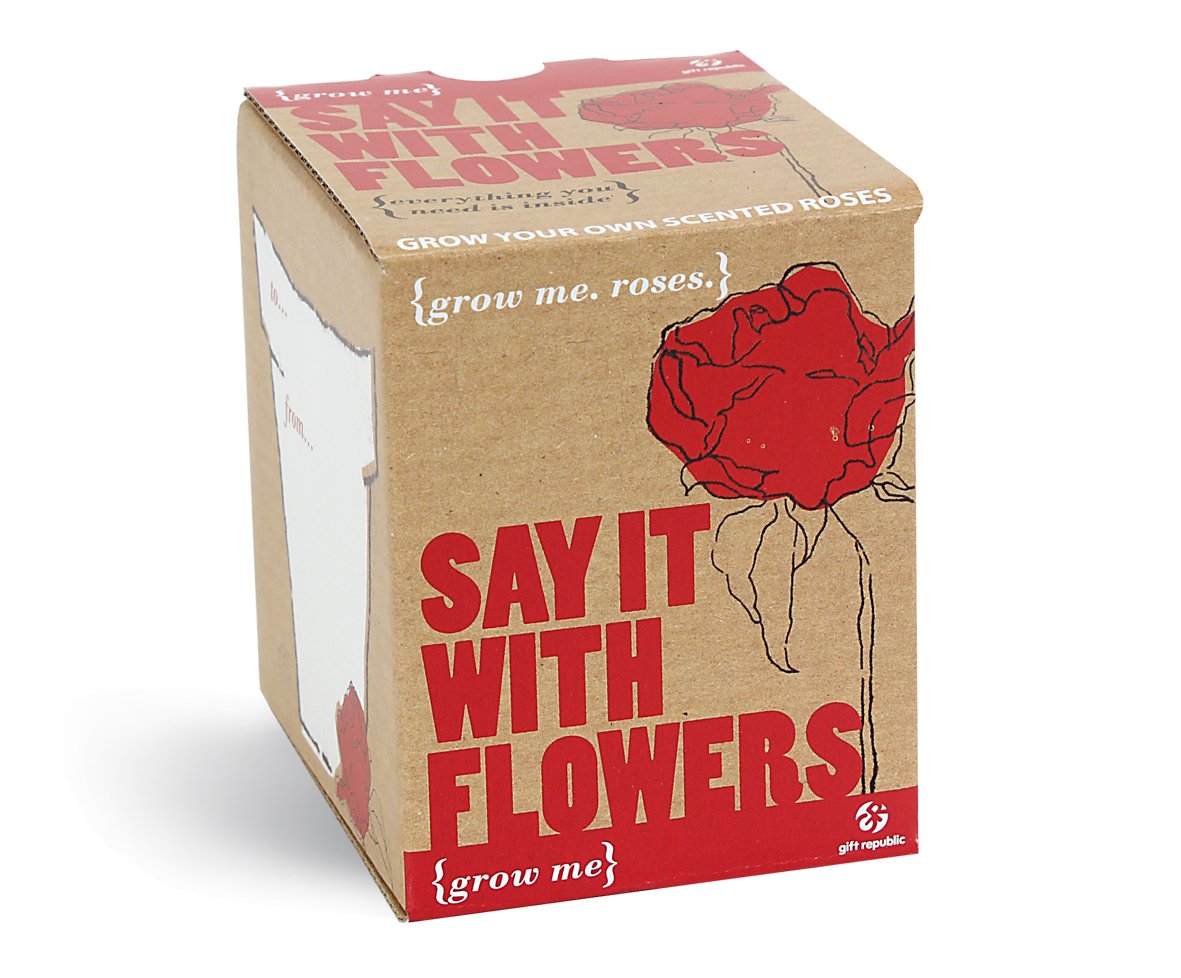 Gift Republic GR130007 Ltd Say it with Flowers Grow Me Kit, Multi
