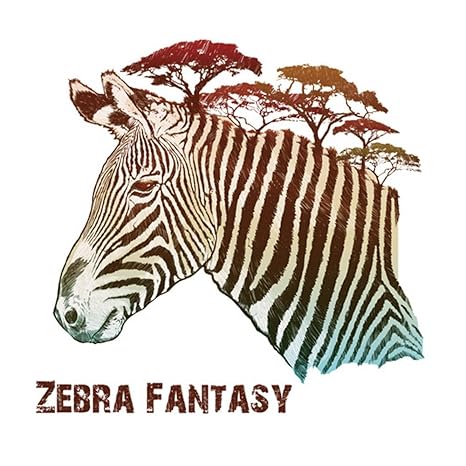 Amazon Com Winhappyhome 3d Lifelike Zebra Wall Art Stickers