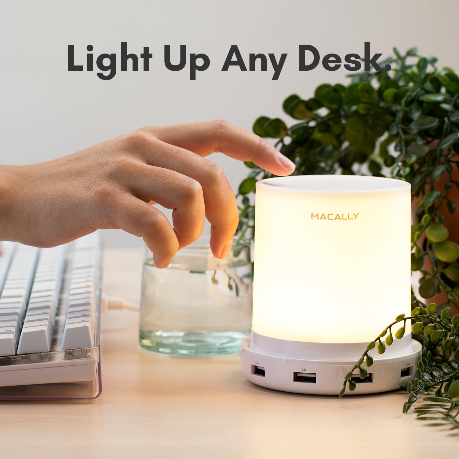 View 2