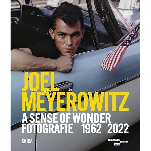 Amazon.com: Joel Meyerowitz: Retrospective: 9781938922701: Goertz