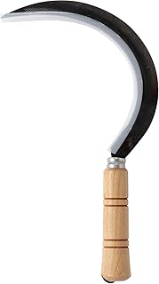 leborgne 273300 Sichel Zahnbürste 30 cm