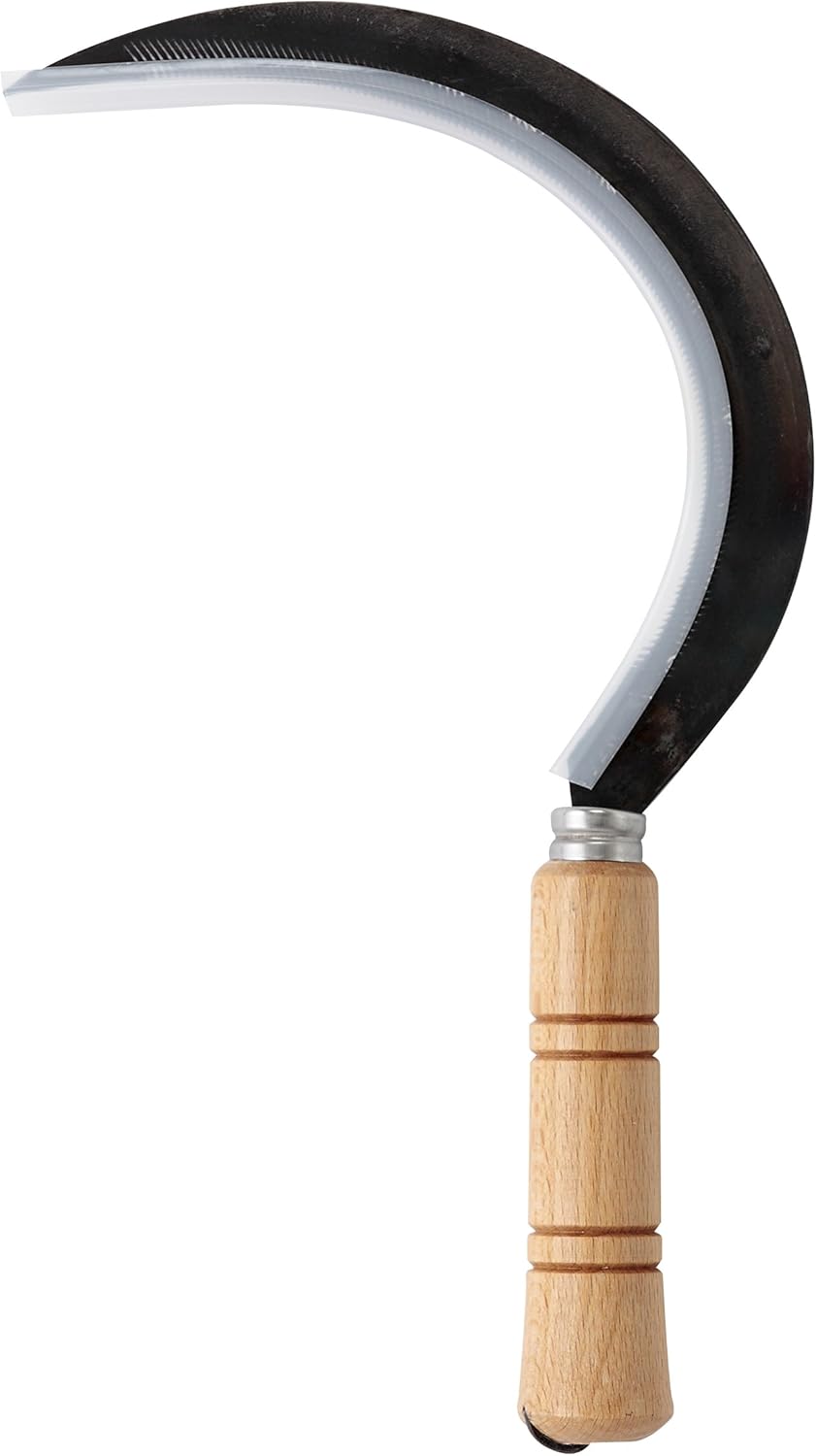 leborgne 273300 Sichel Zahnbürste 30 cm