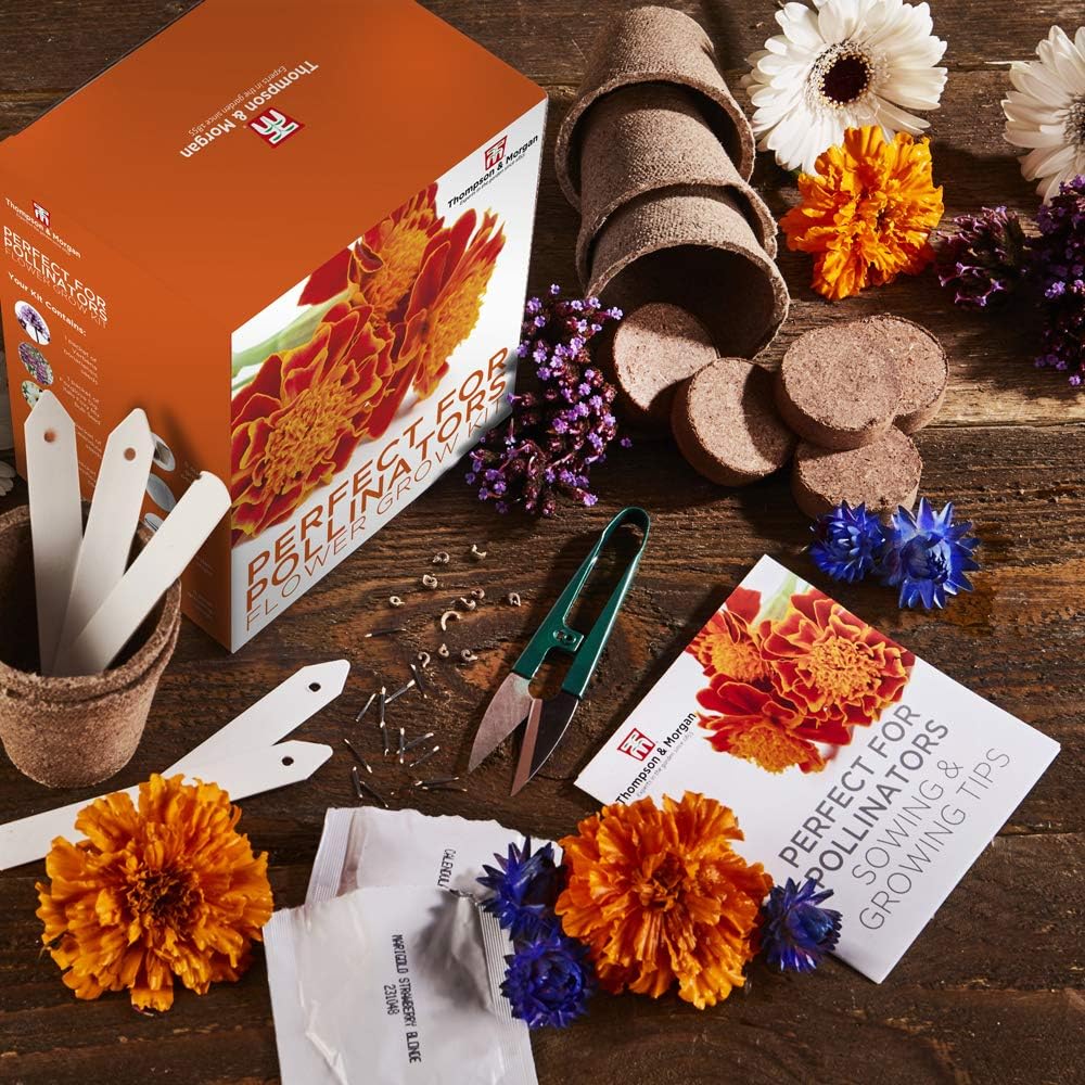Perfect for Pollinators Seed Growing Kit Gift Box - Image 3