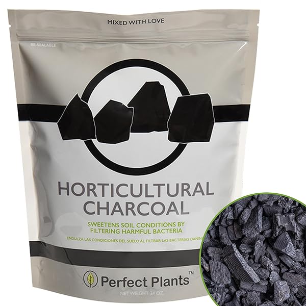 HORTICULTURAL CHARCOAL BY PERFECT PLANTS -4QTS OF PLANT CHARCOAL – NATURALLY CLEANSES, FLUSHES TOXINS AND EXCESS MOISTURE FROM CONTAINERS AND TERRARIUMS