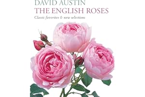 The English Roses: Classic Favorites and New Selections