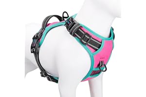 PHOEPET 2019 Upgraded No Pull Dog Harness, Reflective Adjustable Vest, with a Training Handle + 2 Metal Leash Hooks+ 3 Snap Buckles +4 Slide Buckles(L, Pink)